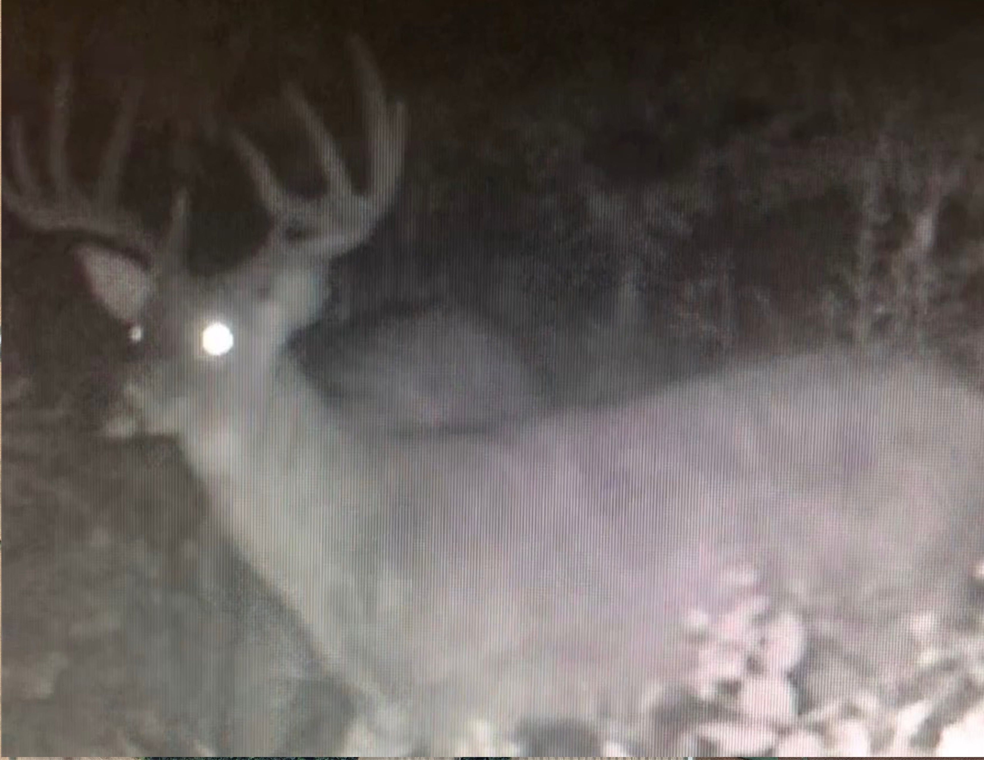 Listing Photo: Deer Marine
